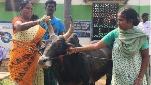 Bi Kanagarasu humpatia ramu chakula maalum na pia kuangalia afya yake.