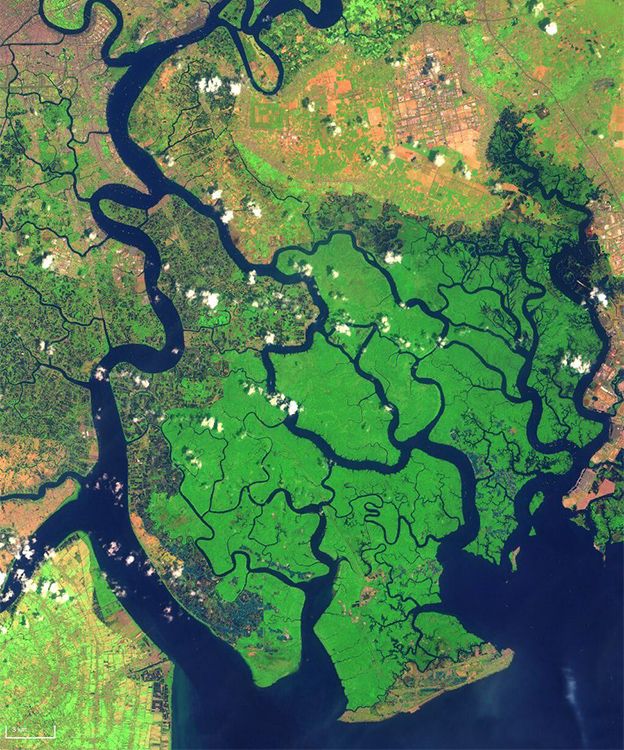 The Mekong Delta southeast of Ho Chi Minh City