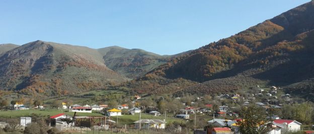 داماش