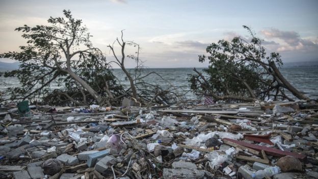 Tsunami damage