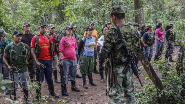 Guerrillas de las FARC en La Guajira