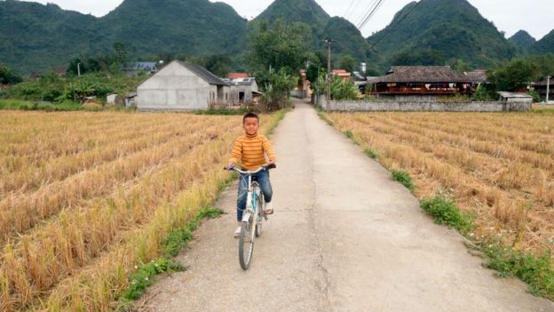 (Hình minh họa)