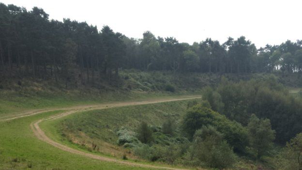 Hindhead Tunnel Call for inquiry into closure chaos BBC News