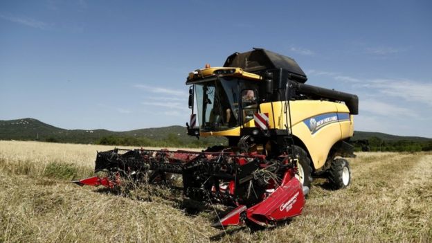 Tractor cosechando trigo en un campo