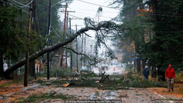 Trận bão bom tấn công Maine, Mỹ, khiến cây cối trốc gốc và nhiều đường dây điện bị đứt hỏng hồi tháng 11/2017