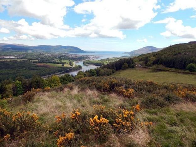 Carlingford