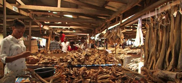 The stockfish markets of Nigeria