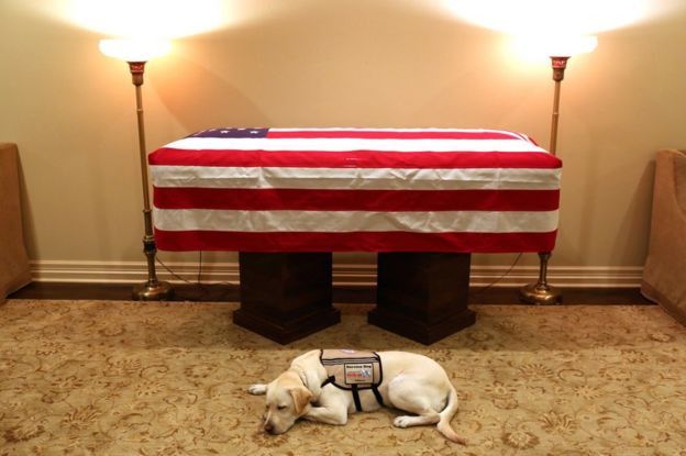 Sully the dog sleeps next to the casket of the late US President George HW Bush