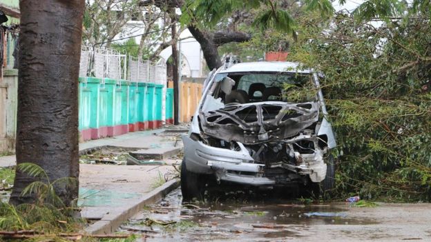 A car hit by a fallen tree in Beira