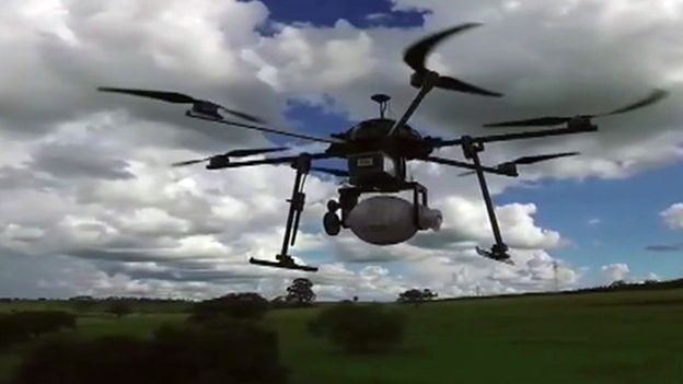 A drone being used to spray wasps over crops