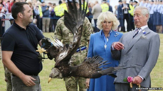 Prince Charles and Duchess of Cornwall meet Sandringham show eagle in a  flap - BBC News