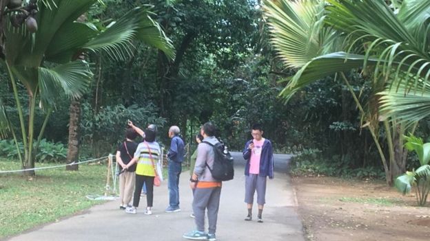 கண்டி கலவரங்கள்: சுற்றுலாத் துறைக்கு பாதிப்பா?#Groundreport