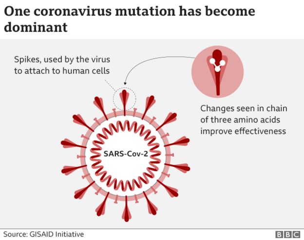 coronavirus particle with spikes. a pull-out of the spike used by the virus to attach to human cells showing changes seen in a chain of three amino acids which improves effectiveness