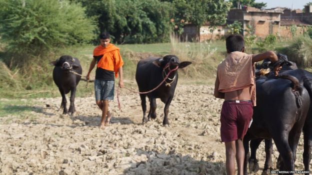 बलात्कार, महिला, गंगा