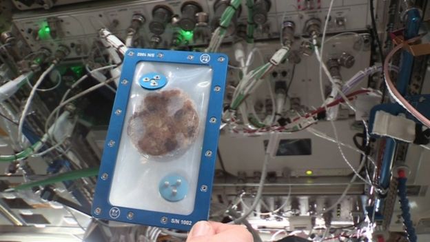 A cookie held by an astronaut at the International Space Station