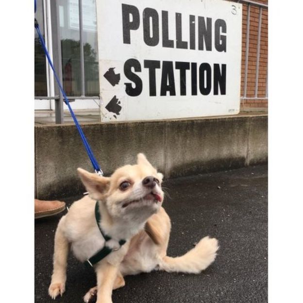 நாட்டிங்காமில் வாக்குச்சாவடியின் வெளியே காத்திருந்த ஹுகோ