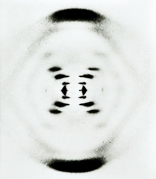 la fotografía de difracción de rayos X del ADN (ácido desoxirribonucleico).