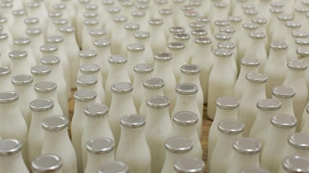 هل ينبغي تجنب منتجات الألبان عند الإصابة بنزلات البرد؟