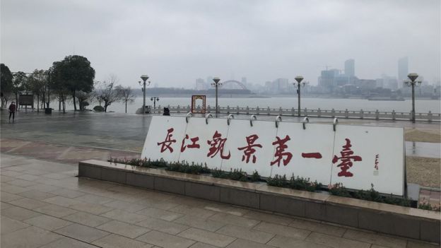 郭晶记录了武汉"封城"以来的生活点滴，与BBC分享