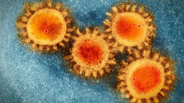 Imagem colorida de microscopia eletrônica do coronavírus
