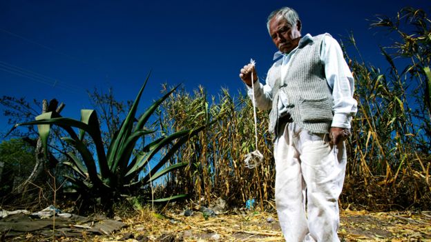 Agricultor en México mirando su tierra seca