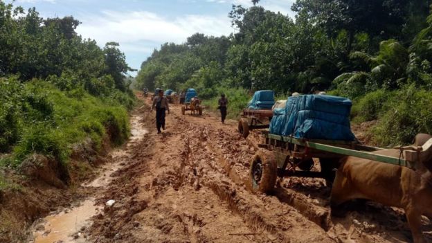 Kapolsek Bengkunat Iptu Ono Karyono mengatakan karena tanah berlumpur, jalan tersebut tidak bisa dilewati kendaraan bermotor.
