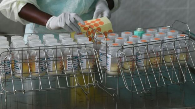 কেনিয়ার একটি মিল্ক ব্যাংকের