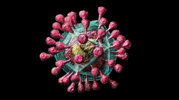 Coronavirus