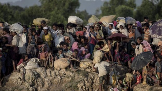 Rohingya