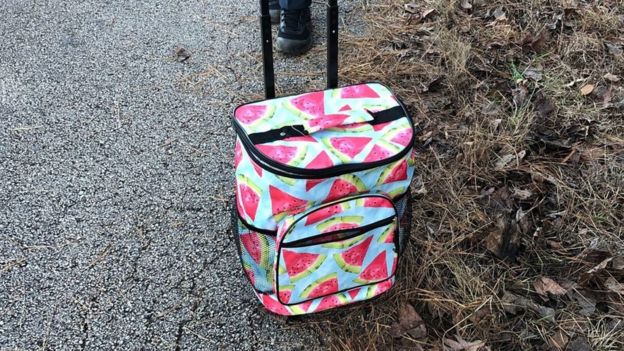 A watermelon-patterned cooler shown by the side of the road; Georgia's Troup County Sheriff's Office found a dead baby inside