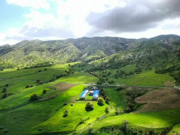 روستای انارک