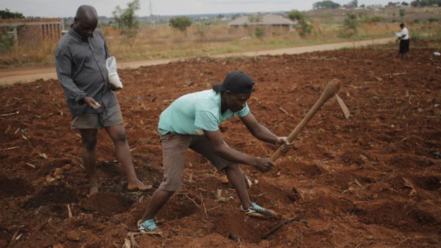 Agricultores no Zimbabwe