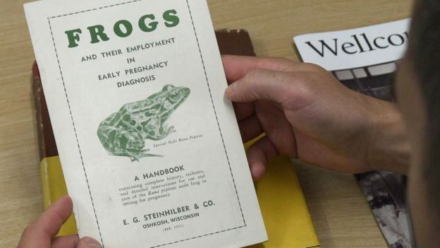 Un folleto con información sobre las pruebas de embarazo con ranas