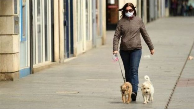 تمشية الكلاب