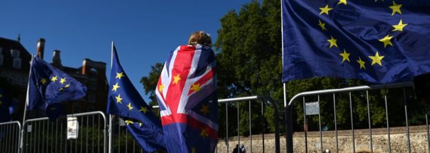 EU flags and protestor