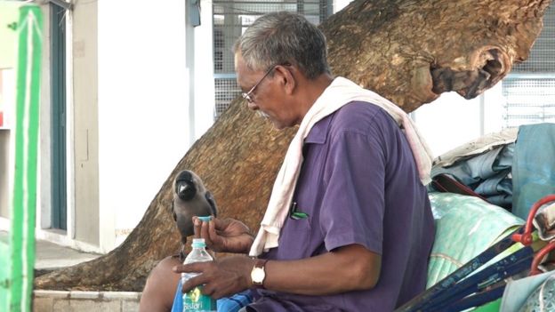 உயிருக்கு போராடிய காகமும், அதைக் காப்பாற்றிய மனிதரும்