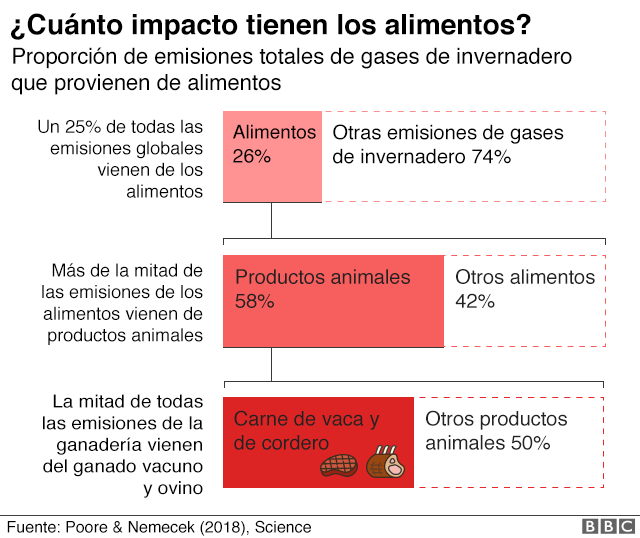 Gráfico sobre el impacto ambiental de la comida.