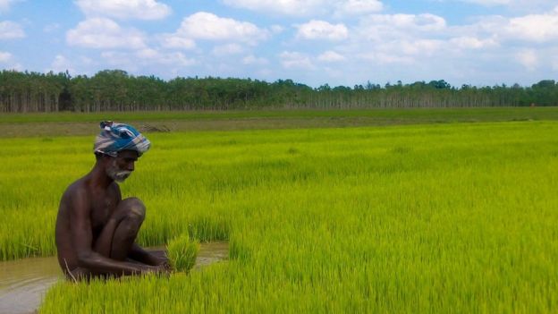 #BBCTamilPhotoContest