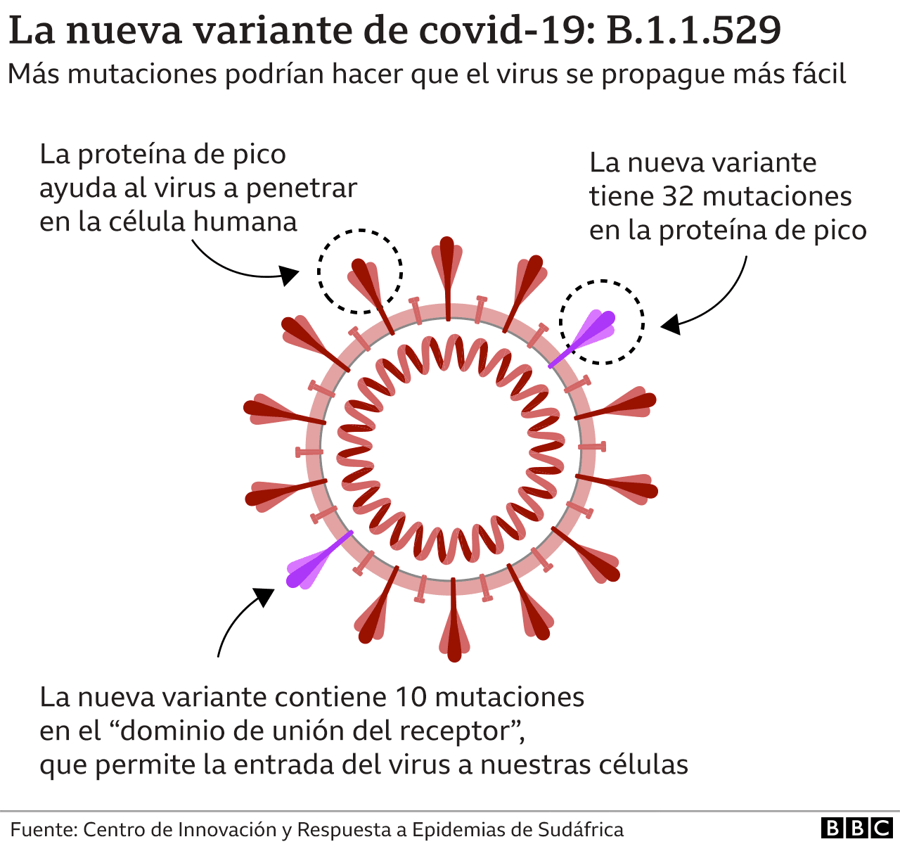 Ómicron los gráficos que muestran las 5 variantes de SARSCoV2 que la