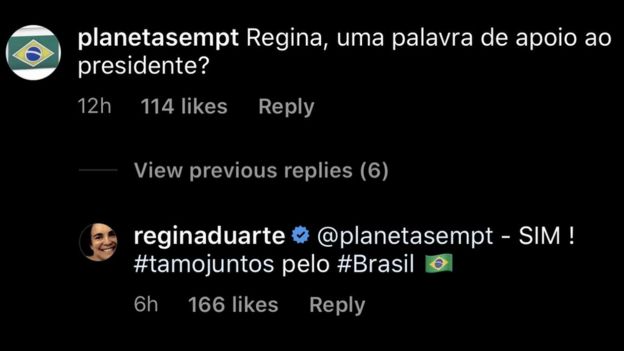 Reprodução de conversa de Regina Duarte no Instagram