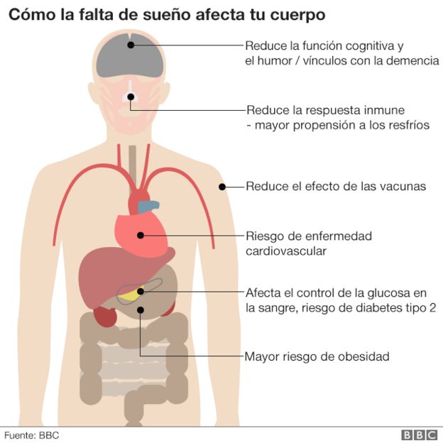 Efectos del sueño en el cuerpo.