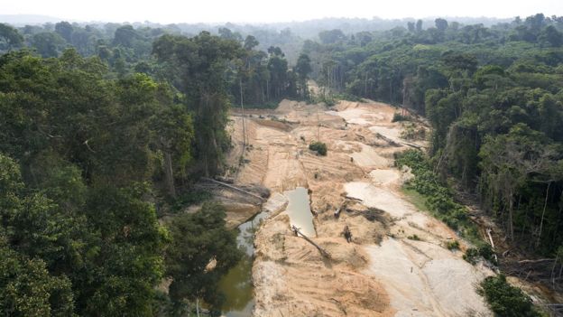 Desforestación causada por un campamento de explotación ilegal de oro