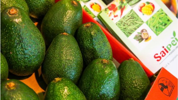 Deskripsi Buah Alpukat Dalam Bahasa Inggris | Seputar Buah