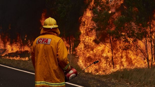 A firefighter with an extinguisher in his hand fights a blaze in NSW