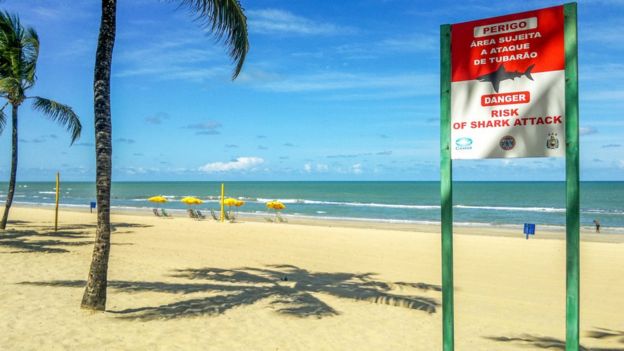 Placa na praia de Boa Viagem, em Recife, faz alerta sobre perigo de ataques de tubarão