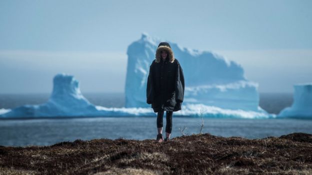 Morador de Newfoundland diante de iceberg
