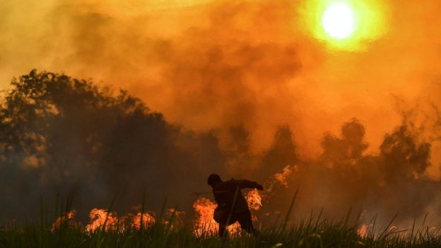 Kebakaran hutan di Indonesia