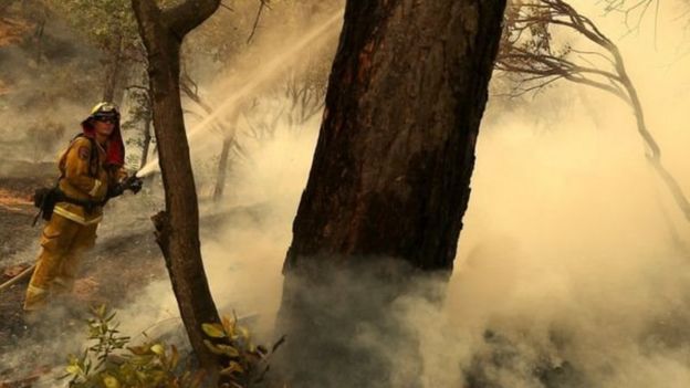 பரவும் காட்டுத்தீ