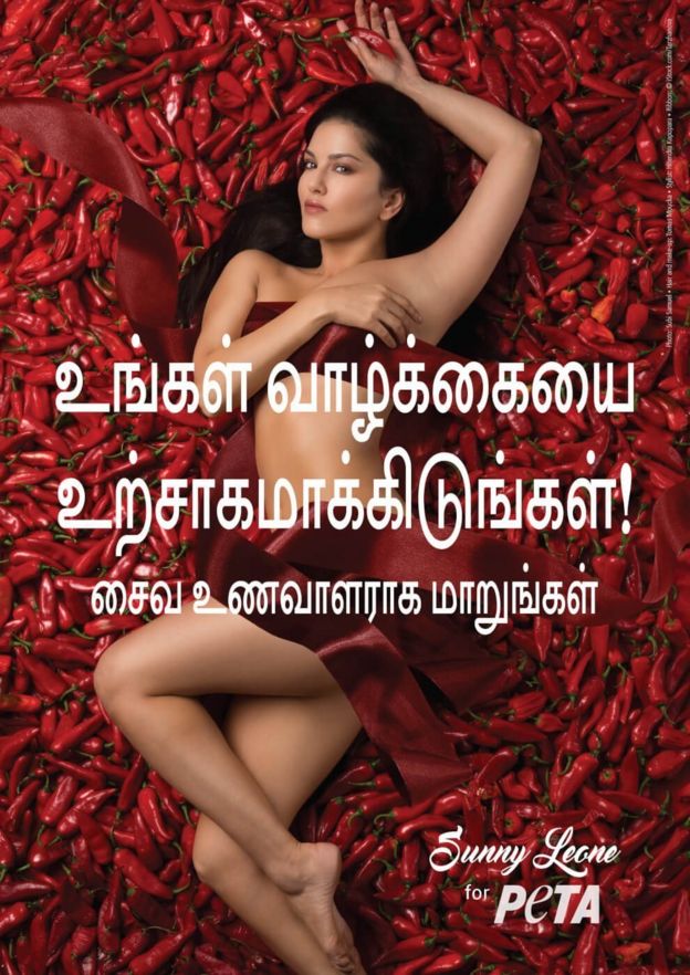 பீட்டாவின் சைவ உணவு விளம்பரத்தில் நடிகை சன்னி லியோன்