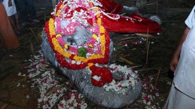 கோயில் சடங்குகளிலும், ஊர்வலங்களிலும் இந்த யானை பங்கேற்றது.